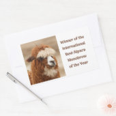 Sticker Rectangulaire Meilleur Sourcil Unique d'Alpaca (Enveloppe)