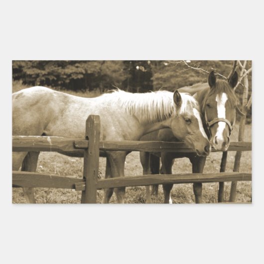 Sticker Rectangulaire Meilleurs amis (Devant)