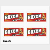 Sticker Rectangulaire Mellons Buxom (Feuille)
