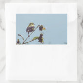 Sticker Rectangulaire Mes amis les petits visiteurs. #oiseau #nature #fa (Sac)