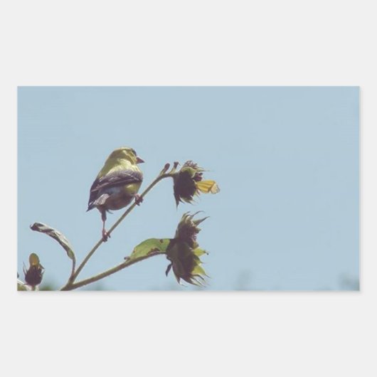 Sticker Rectangulaire Mes amis les petits visiteurs. #oiseau #nature #fa (Devant)