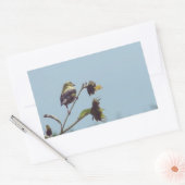 Sticker Rectangulaire Mes amis les petits visiteurs. #oiseau #nature #fa (Enveloppe)