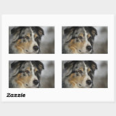 Sticker Rectangulaire Miniature American Shepherd Blue Merle seconde (Feuille)