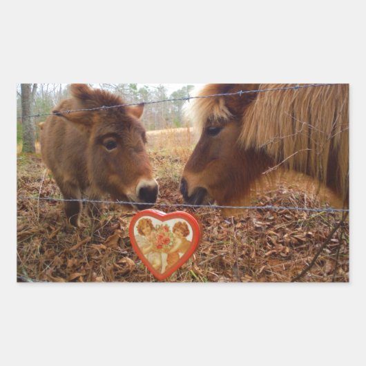 Sticker Rectangulaire Miniature Donkey & Horse Valentine Heart (Devant)