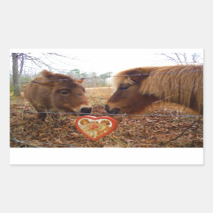 Sticker Rectangulaire Miniature Donkey & Horse Valentine Heart