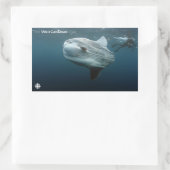 Sticker Rectangulaire Mola Mola (Sac)