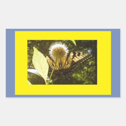 Sticker Rectangulaire Monarque (Devant)