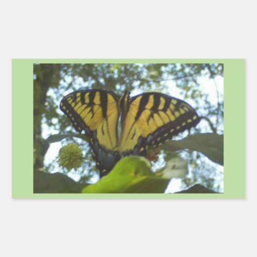 Sticker Rectangulaire Monarque jaune soleil (Devant)