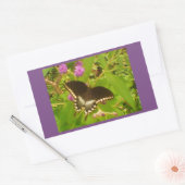 Sticker Rectangulaire Monarque noir enveloppé de violet (Enveloppe)
