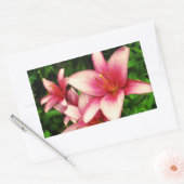 Sticker Rectangulaire Moneymaker Lily (Enveloppe)