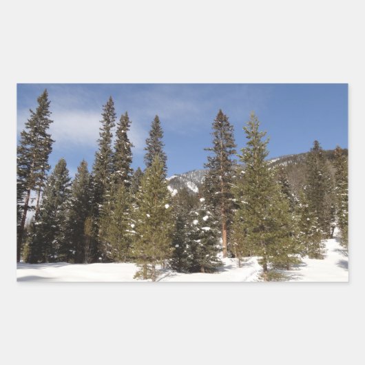 Sticker Rectangulaire Montana Mountain Trails in Winter Landcape Photo (Devant)