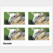 STICKER RECTANGULAIRE MOQUETTE (Feuille)