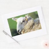 STICKER RECTANGULAIRE MOQUETTE (Enveloppe)