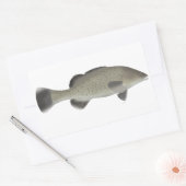Sticker Rectangulaire Morue à truites (Enveloppe)