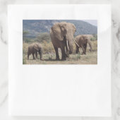 Sticker Rectangulaire Mother éléphant walking with elephant calf (Sac)
