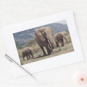 Sticker Rectangulaire Mother éléphant walking with elephant calf (Enveloppe)