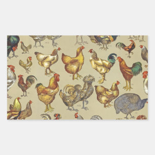 Sticker Rectangulaire Motif de coq poulet vintage : Art de ferme