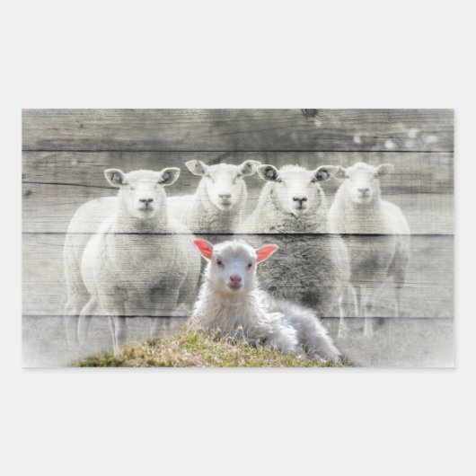 Sticker Rectangulaire Mouton d'agneau de bébé (Devant)