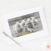 Sticker Rectangulaire Mouton d'agneau de bébé (Enveloppe)