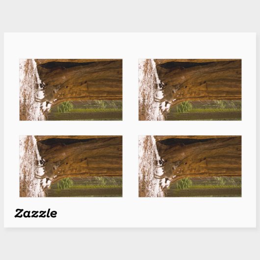 Sticker Rectangulaire Mule Deer (Feuille)