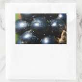 Sticker Rectangulaire Mûres (Sac)