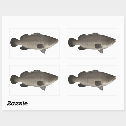 Sticker Rectangulaire Murray Cod (Feuille)