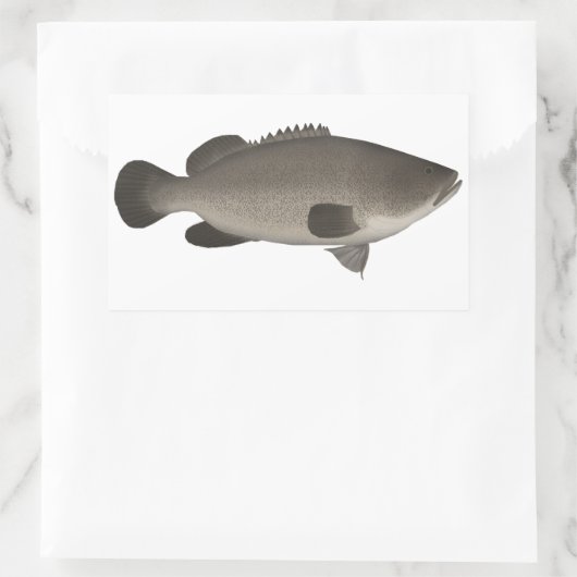 Sticker Rectangulaire Murray Cod (Sac)