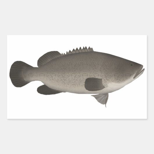 Sticker Rectangulaire Murray Cod (Devant)