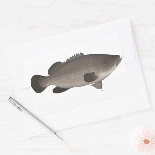Sticker Rectangulaire Murray Cod (Enveloppe)