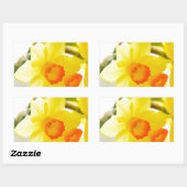 Sticker Rectangulaire narcissus (Feuille)