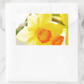 Sticker Rectangulaire narcissus (Sac)