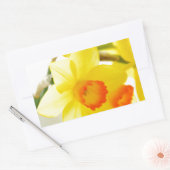 Sticker Rectangulaire narcissus (Enveloppe)