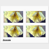 Sticker Rectangulaire Narcissus Daffodil (Feuille)