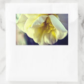 Sticker Rectangulaire Narcissus Daffodil (Sac)