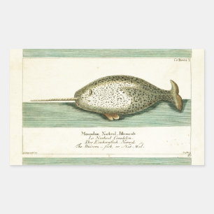 Sticker Rectangulaire Narwhal Antique Baleine Aquarelle Art scientifique
