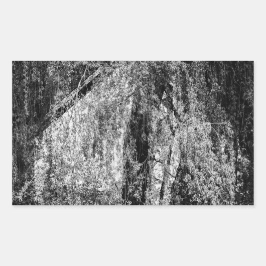 Sticker Rectangulaire nature morte à la maison (Devant)