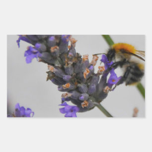 Sticker Rectangulaire Natures de merveilleux travailleurs