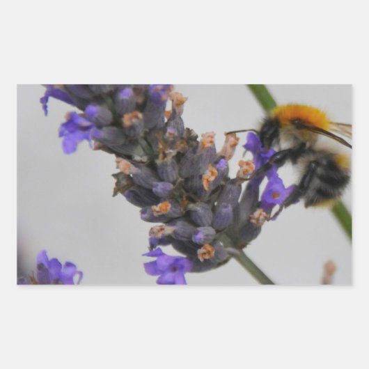 Sticker Rectangulaire Natures de merveilleux travailleurs (Devant)