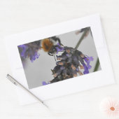 Sticker Rectangulaire Natures de merveilleux travailleurs (Enveloppe)