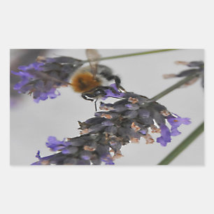 Sticker Rectangulaire Natures de merveilleux travailleurs