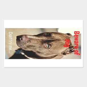 Sticker Rectangulaire Ne me jugez pas… prennent garde du chien -