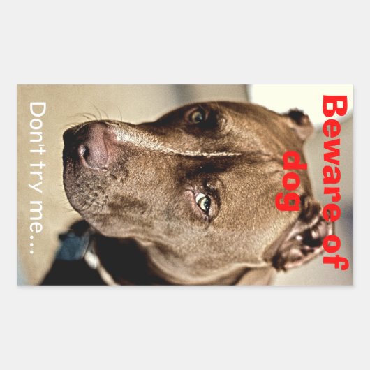 Sticker Rectangulaire Ne m'essayez pas...attention au chien - autocollan (Devant)