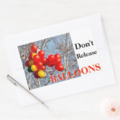 Sticker Rectangulaire Ne pas libérer de BALLONS (Enveloppe)