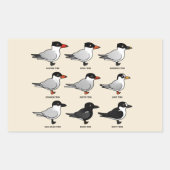 Sticker Rectangulaire Neuf Sternes Birdables (étiquetées) (Devant)