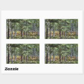 Sticker Rectangulaire New Forest Woodland Trees (Feuille)