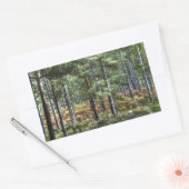 Sticker Rectangulaire New Forest Woodland Trees (Enveloppe)