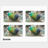 Sticker Rectangulaire Nicobar Pigeon sur le nid (Feuille)