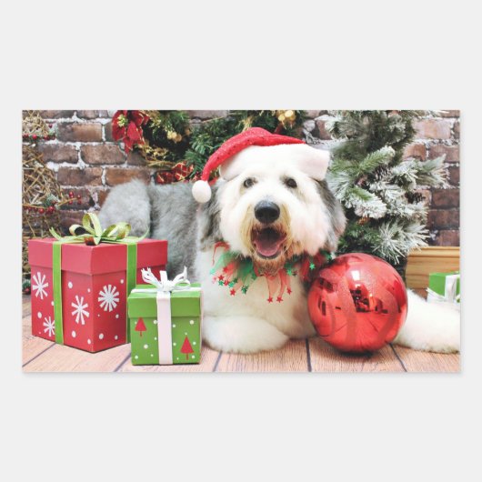 Sticker Rectangulaire Noël - vieux chien de berger anglais - Alphy (Devant)