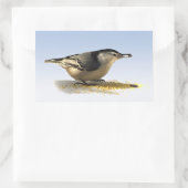 Sticker Rectangulaire Nuthatch à poitrine blanche (Sac)