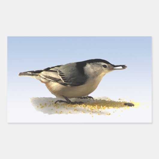 Sticker Rectangulaire Nuthatch à poitrine blanche (Devant)